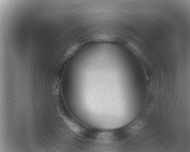 X0000064040168200602031607