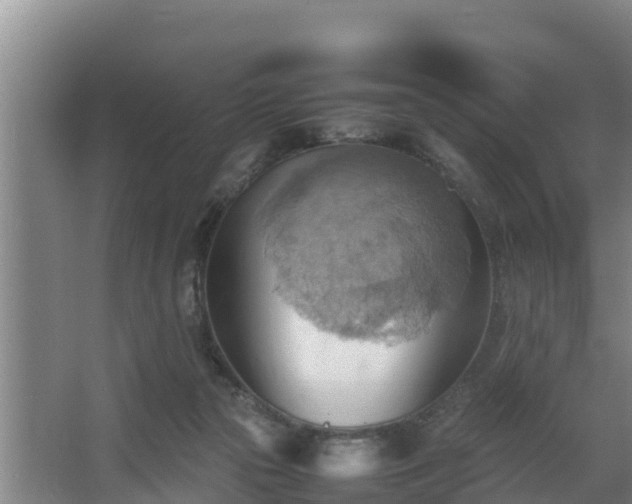 X0000064040169200602031607