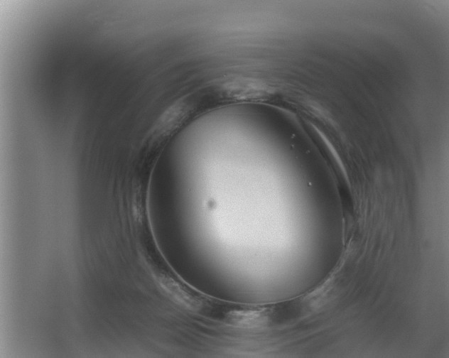 X0000064040170200602031607