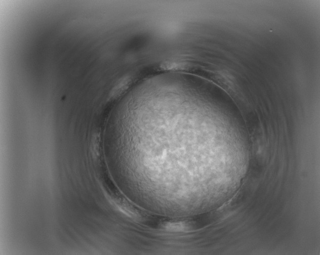 X0000064040171200602031607