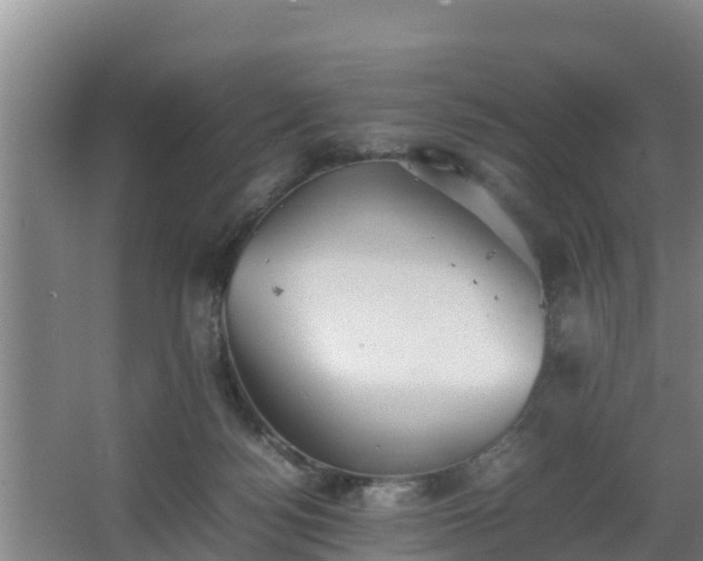 X0000064040172200602031607