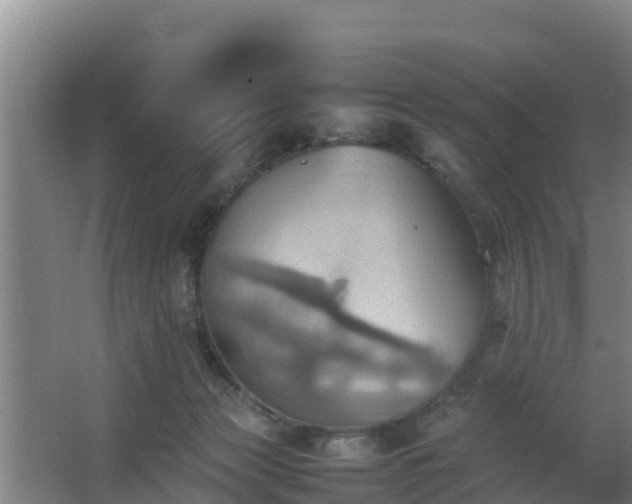 X0000064040173200602031607