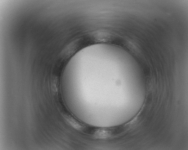 X0000064040174200602031607