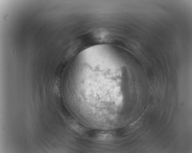 X0000064040175200602031607