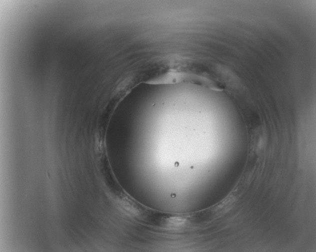 X0000064040176200602031607