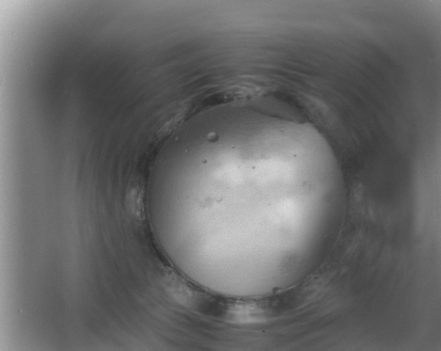 X0000064040177200602031607