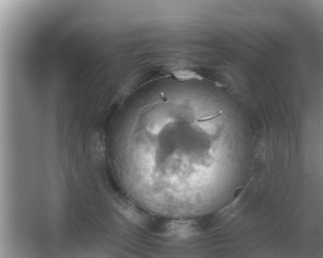 X0000064040179200602031607