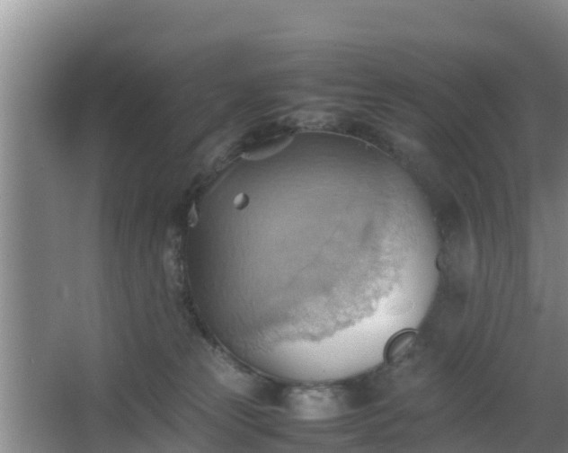 X0000064040181200602031607