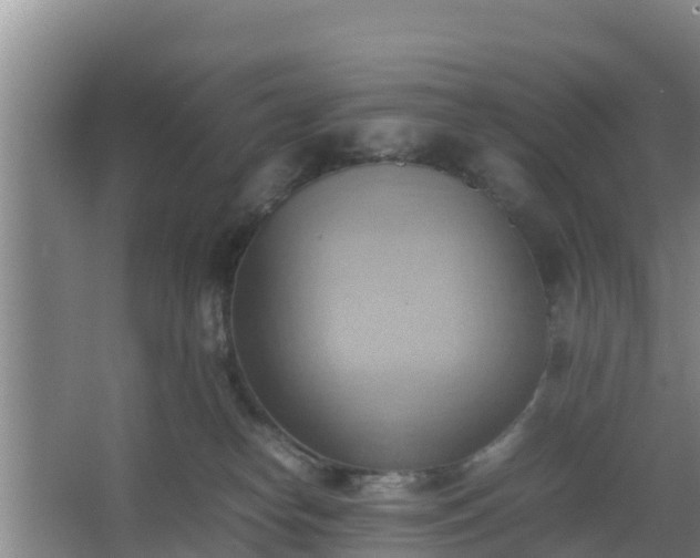 X0000064040182200602031607