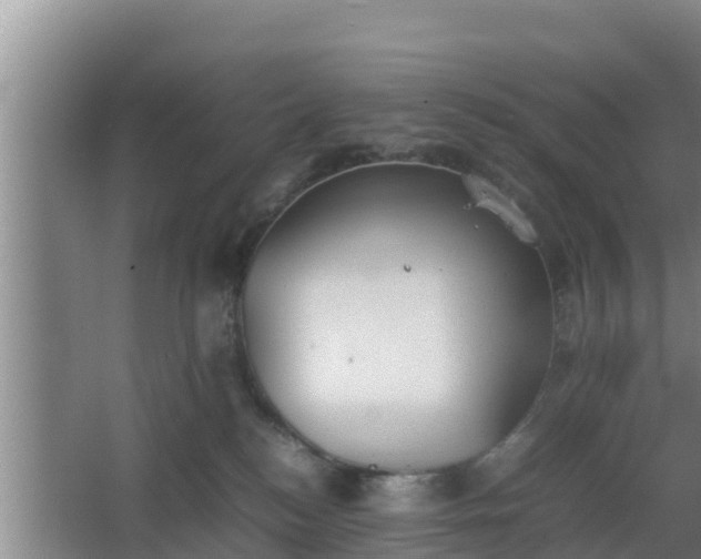 X0000064040184200602031607