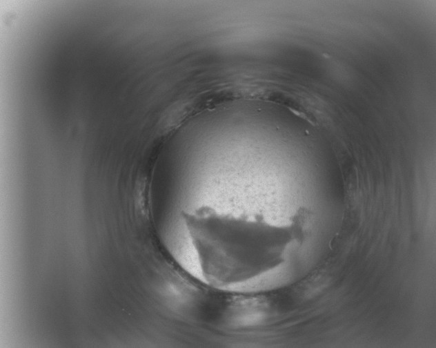 X0000064040185200602031607