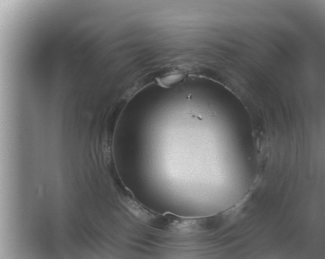 X0000064040186200602031607