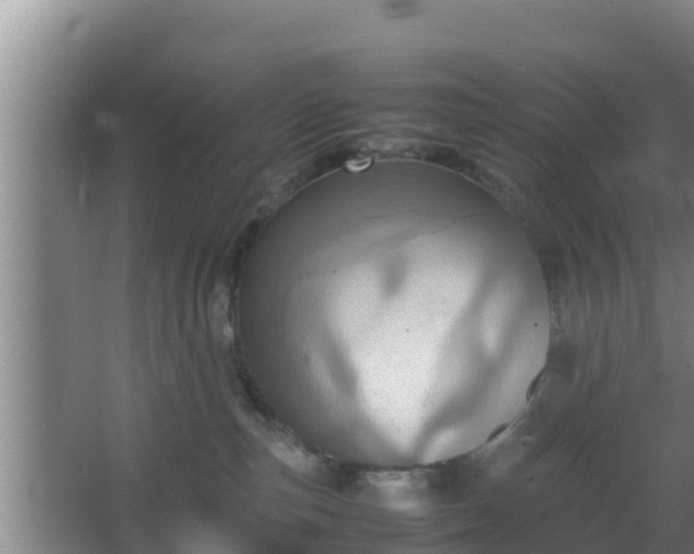 X0000064040187200602031607