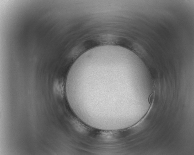 X0000064040190200602031607