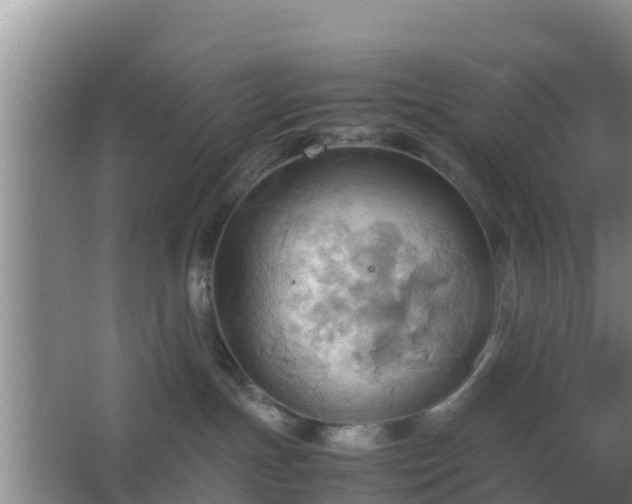 X0000064040191200602031607