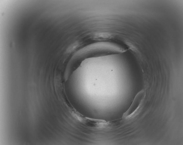 X0000064040192200602031607