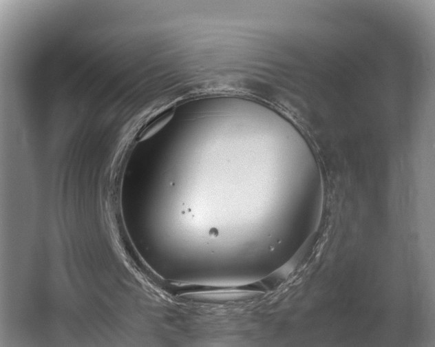 X0000064040193200602031606