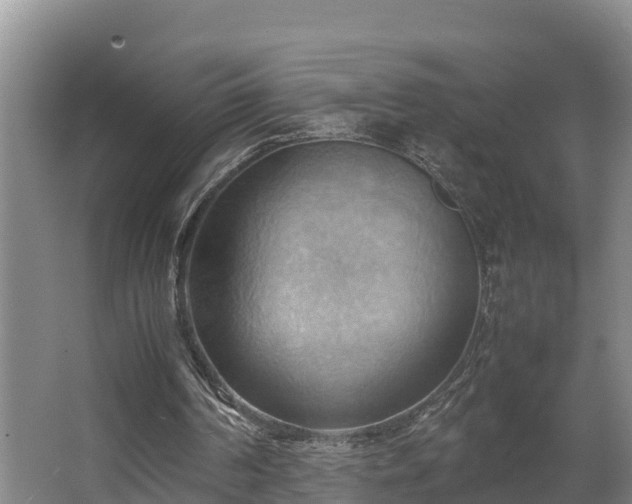 X0000064040194200602031606