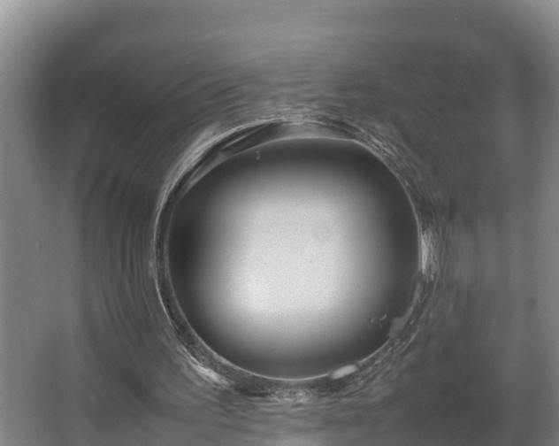 X0000064040195200602031606