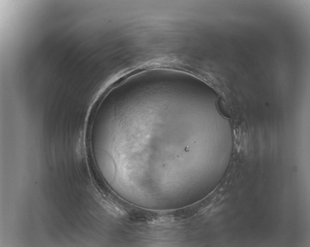 X0000064040196200602031606