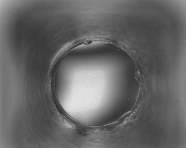 X0000064040197200602031606