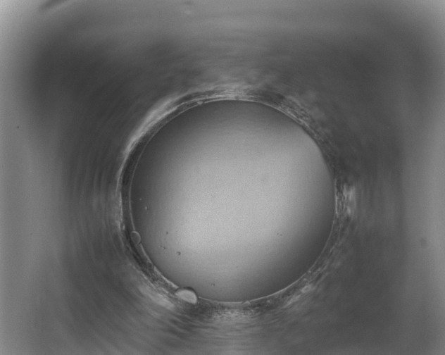 X0000064040198200602031606