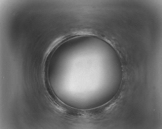 X0000064040199200602031606