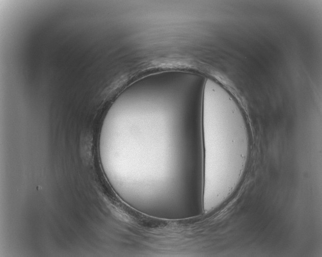 X0000064040201200602031606