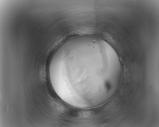 X0000064040202200602031606