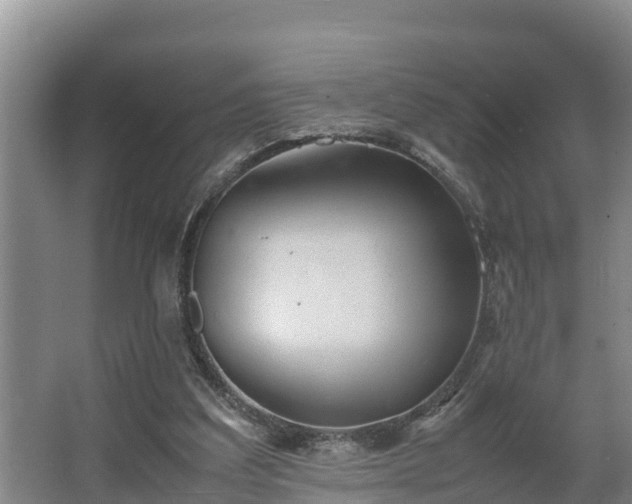 X0000064040203200602031606