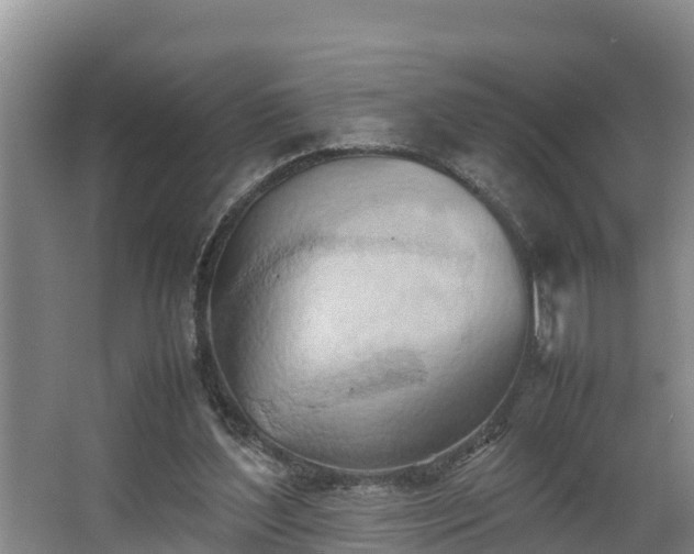 X0000064040204200602031606