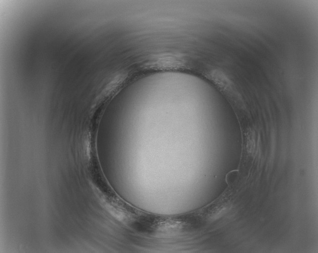 X0000064040206200602031606