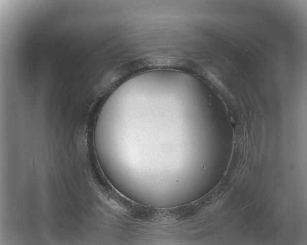 X0000064040207200602031606