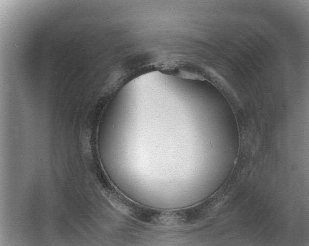 X0000064040209200602031606