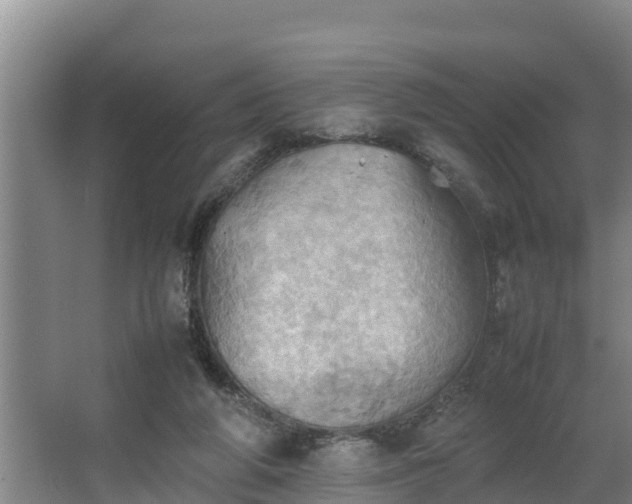 X0000064040210200602031606