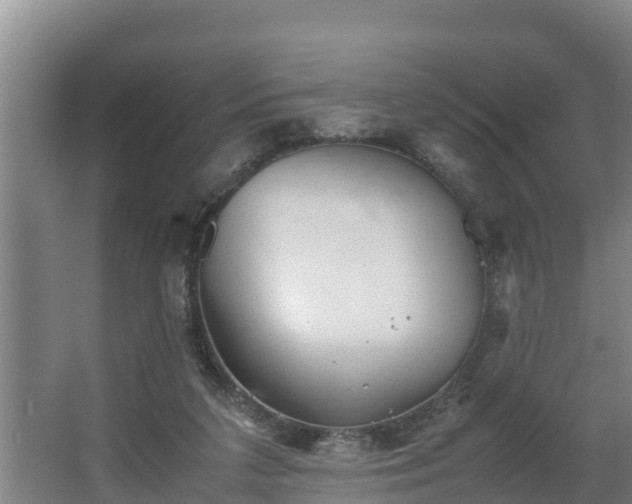 X0000064040211200602031606