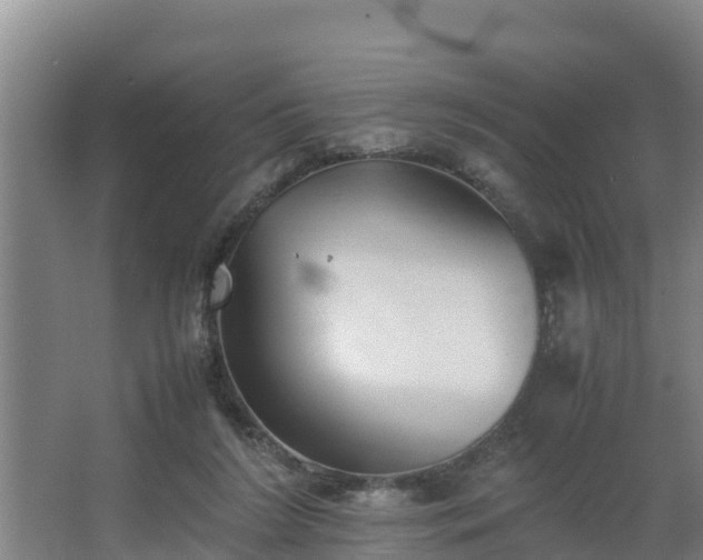 X0000064040212200602031606