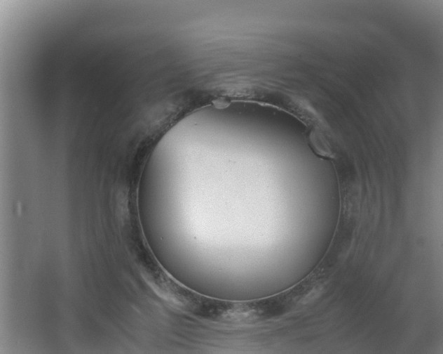 X0000064040213200602031606