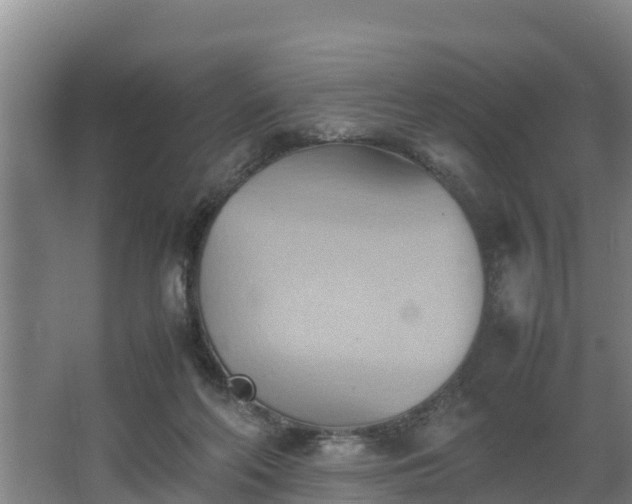 X0000064040214200602031606