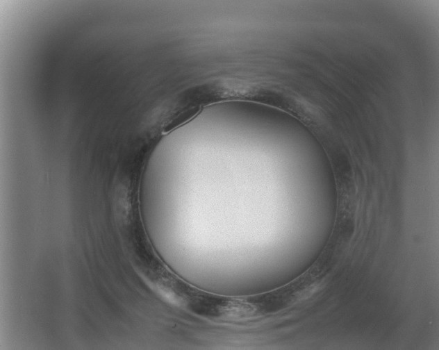 X0000064040215200602031606