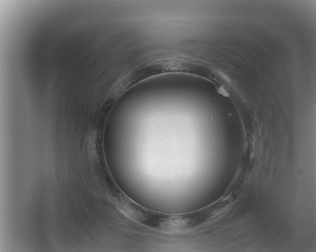 X0000064040217200602031606