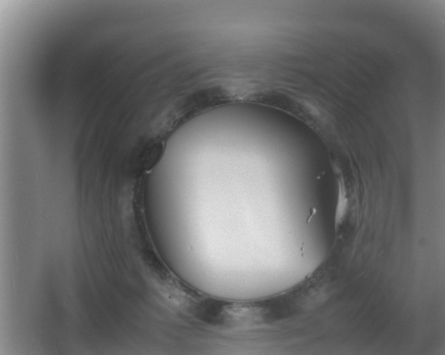 X0000064040221200602031606