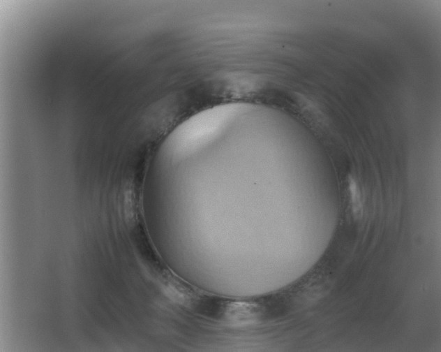 X0000064040222200602031606