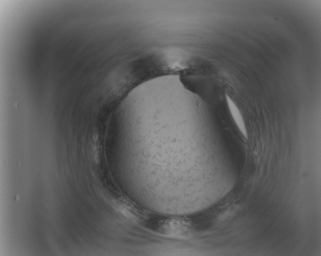 X0000064040223200602031606