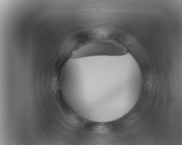 X0000064040224200602031606