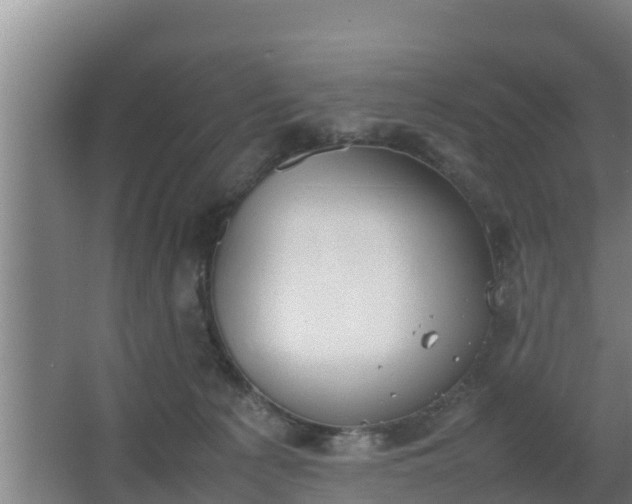 X0000064040225200602031606