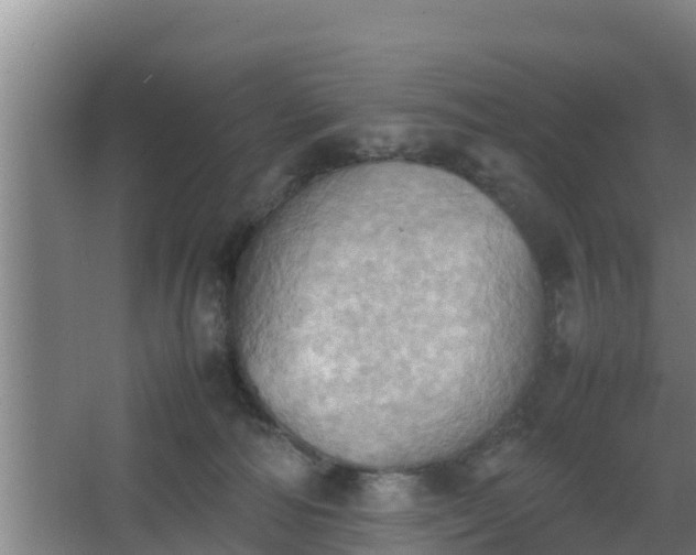 X0000064040226200602031606