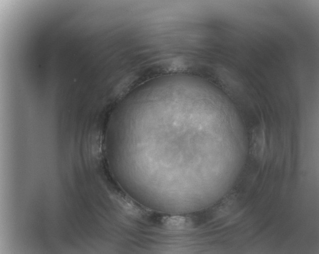 X0000064040230200602031606