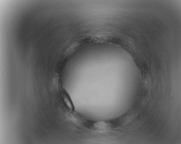 X0000064040231200602031606