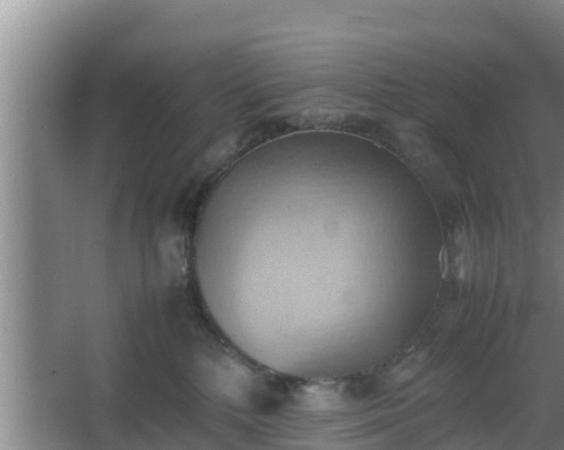 X0000064040232200602031606